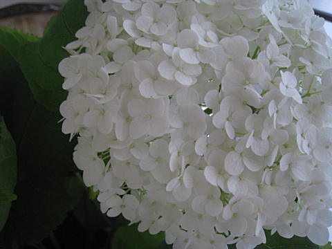 d0046702_7111445.jpg