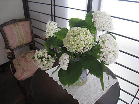 d0046702_711328.jpg