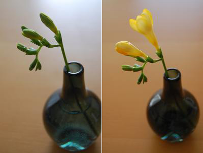 b0189603_20502883.png