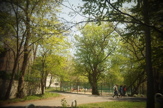 c0202705_18121833.jpg