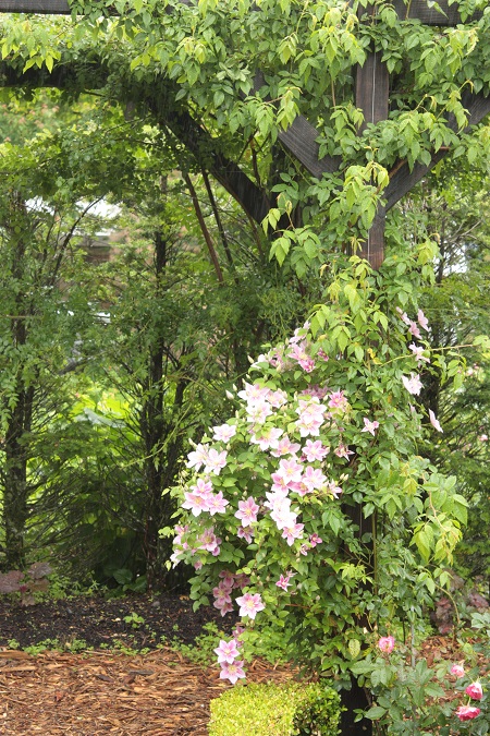 d0001008_20191439.jpg