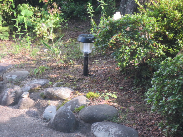 f0248616_17324551.jpg