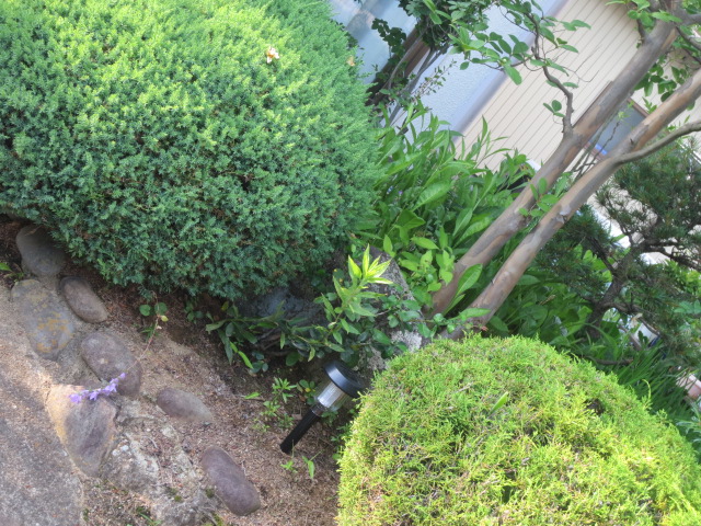 f0248616_17325391.jpg