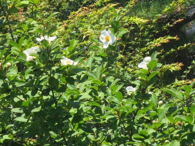 f0248616_17405795.jpg