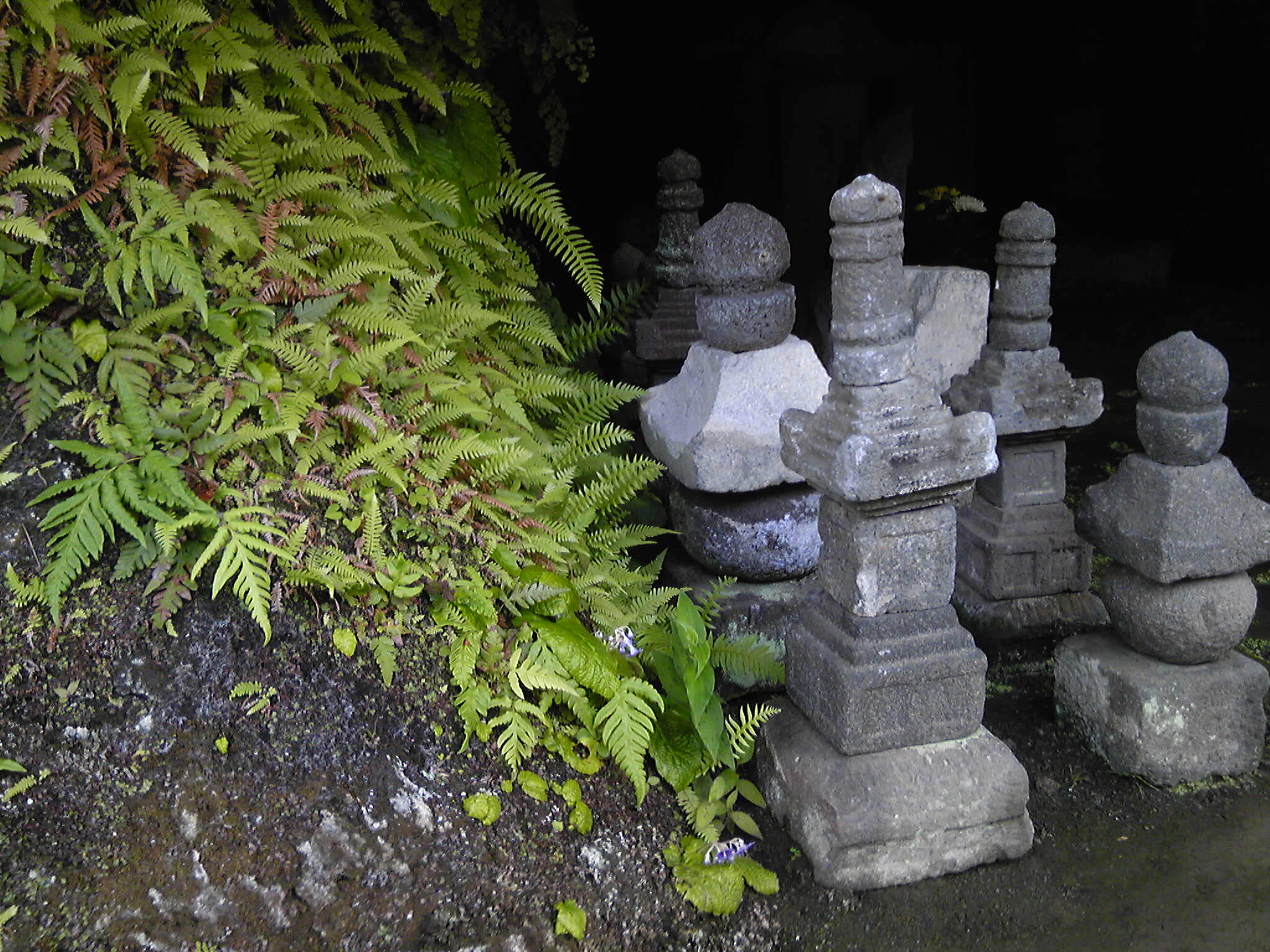 b0285619_19414791.jpg
