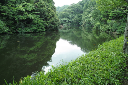b0285619_19432060.jpg
