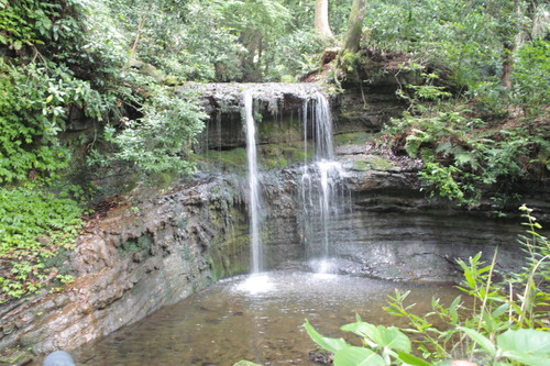 b0285619_20145290.jpg