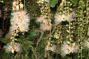 f0142821_22302421.jpg