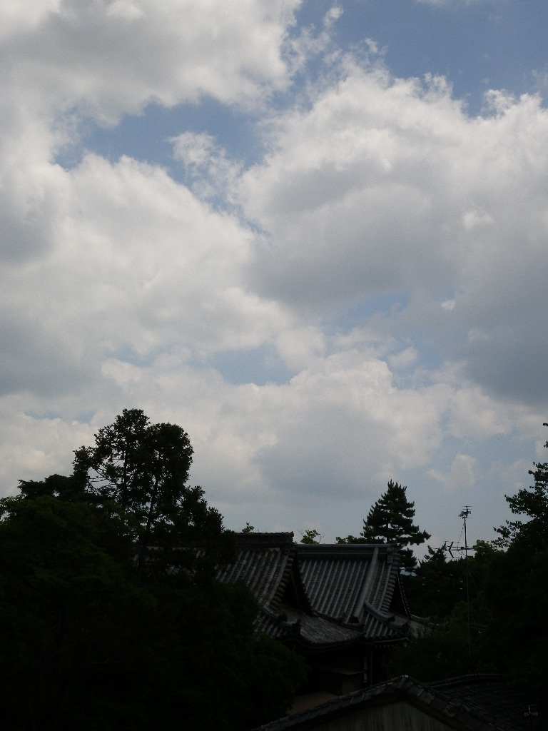 c0189724_1939364.jpg