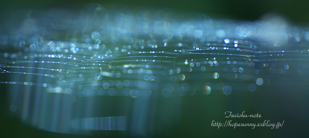 a0253730_22442369.jpg