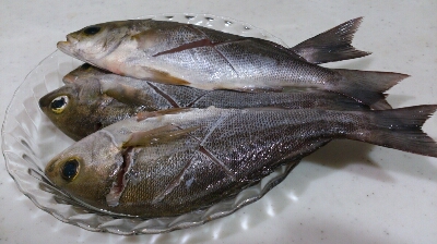 c0147830_8161842.jpg