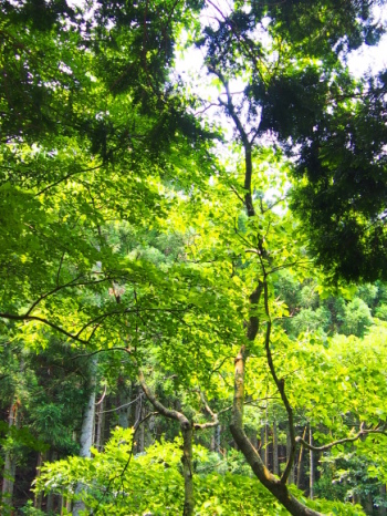f0333930_12380510.jpg