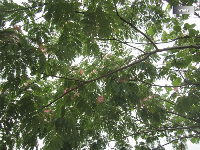 c0227134_0395770.jpg