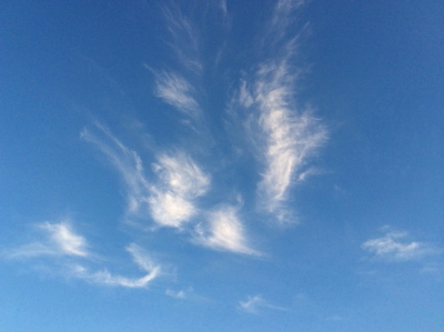 e0156339_14342531.jpg