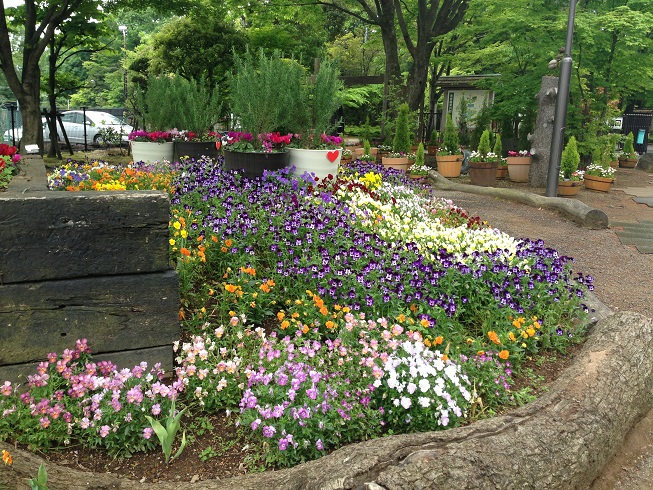 d0240442_029548.jpg