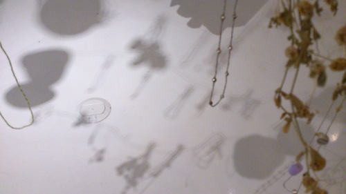 e0288544_1134690.jpg