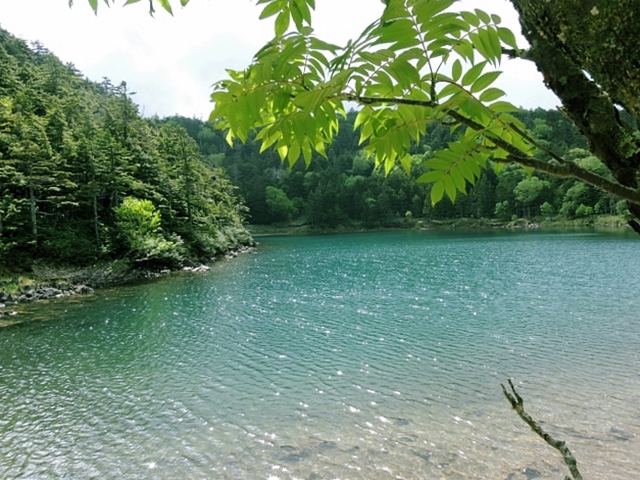b0122448_1744731.jpg