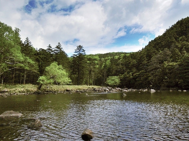 b0122448_1755423.jpg