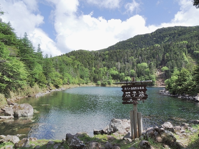 b0122448_17564134.jpg