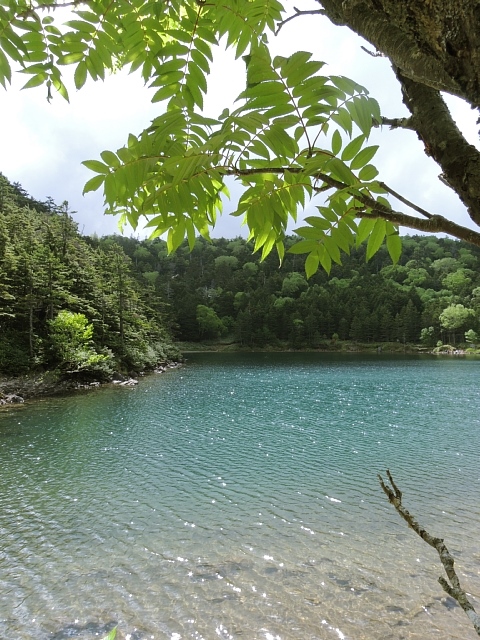 b0122448_1873666.jpg