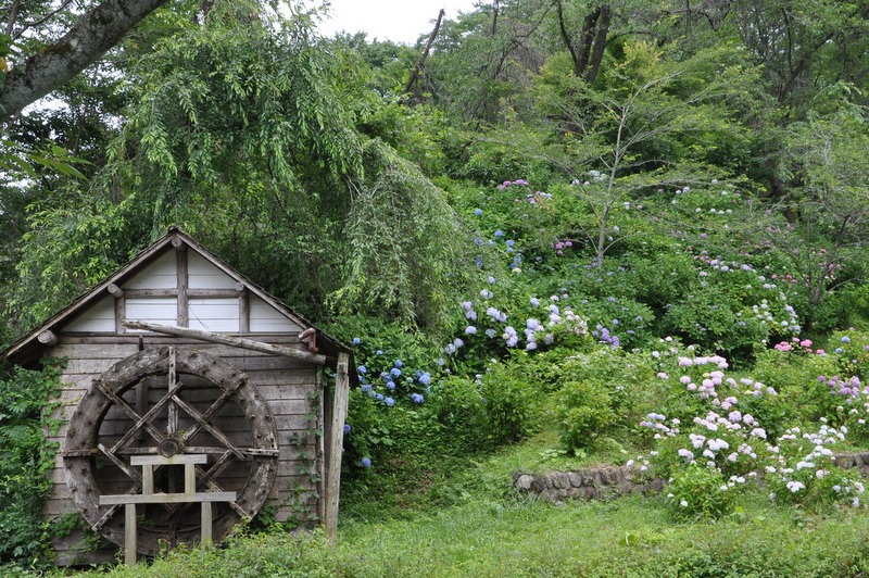 b0296148_1652182.jpg