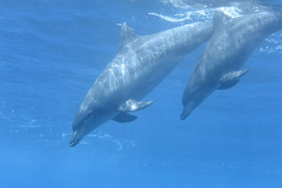 d0076952_1232282.jpg