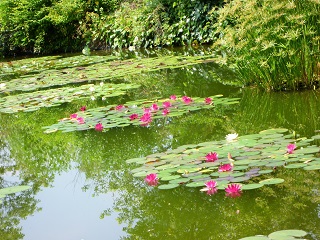 c0179853_5132150.jpg