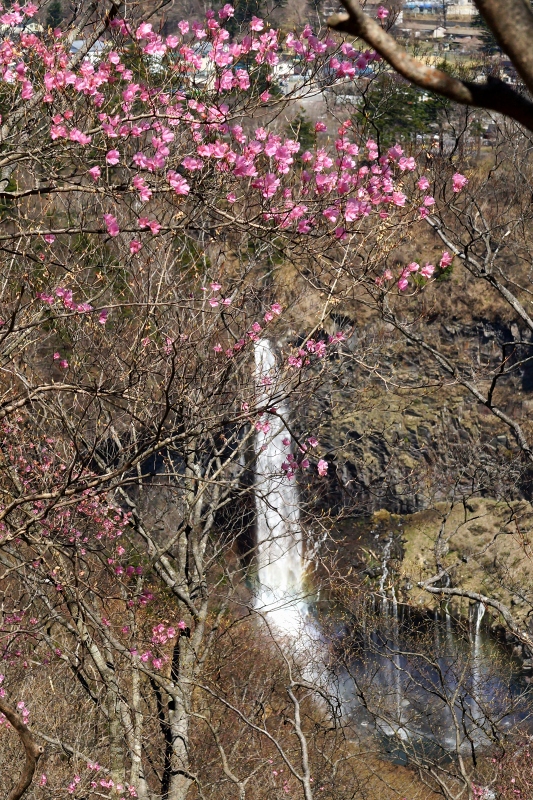 e0229455_06330929.jpg
