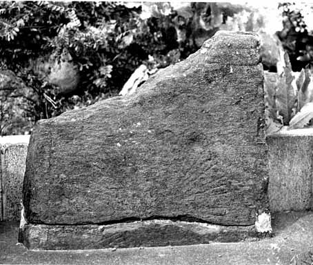 e0018762_10443522.jpg