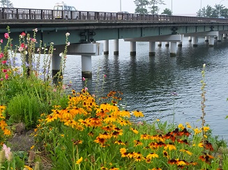 f0113862_19123258.jpg