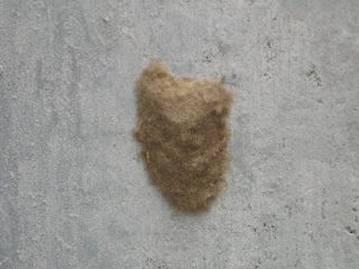 e0290463_901111.jpg