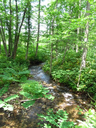a0243064_22591336.jpg