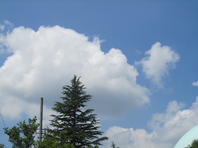 b0149071_15451795.jpg
