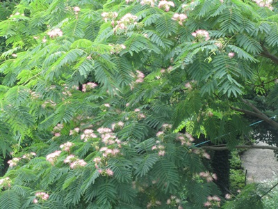 b0149071_15462168.jpg