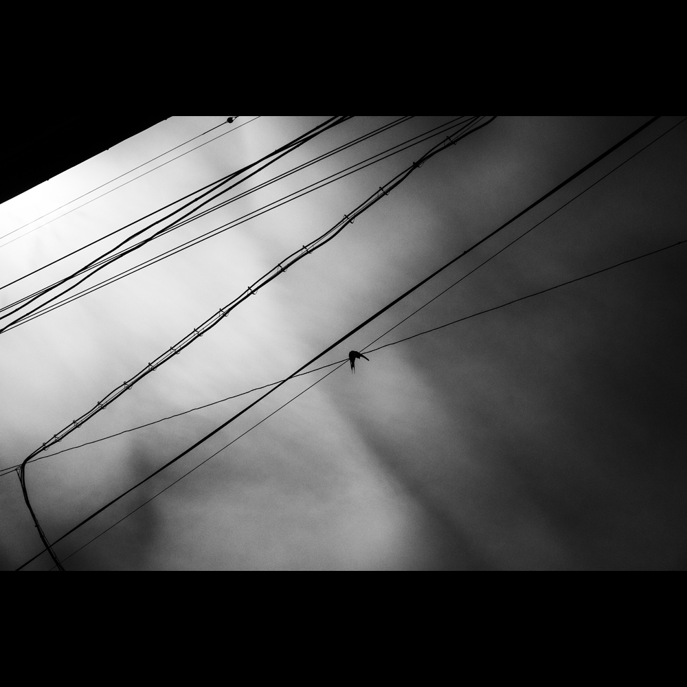 c0118173_1940280.jpg