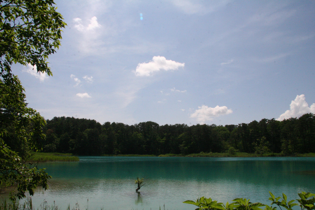 e0118274_9461610.jpg