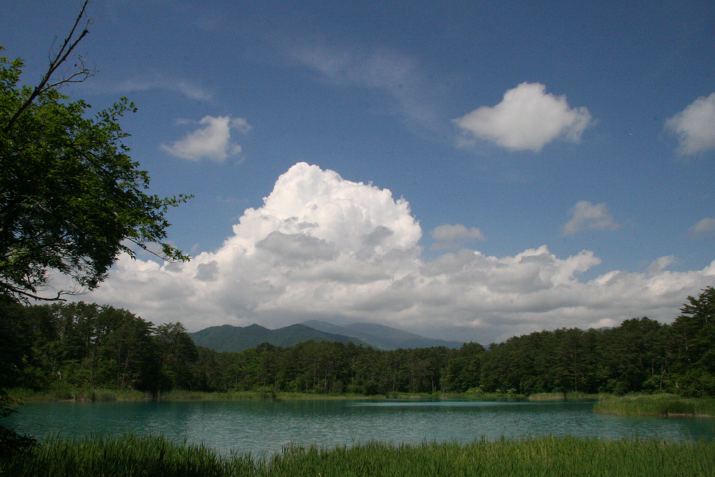 e0118274_947562.jpg