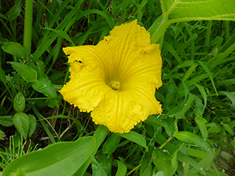 b0057675_21265122.jpg