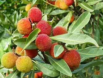 b0057675_21273880.jpg