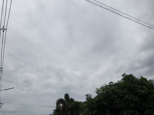 a0002177_1572091.jpg