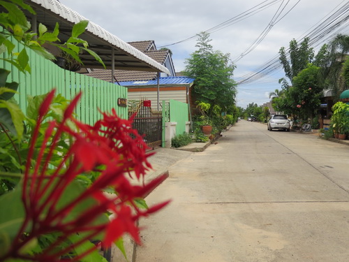 a0002177_1574530.jpg