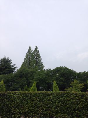 a0119777_13333865.jpg