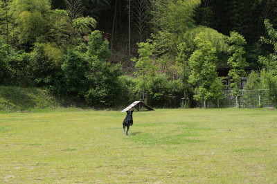 f0037378_1624594.jpg