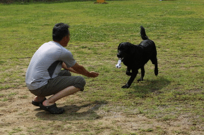 f0037378_1631478.gif