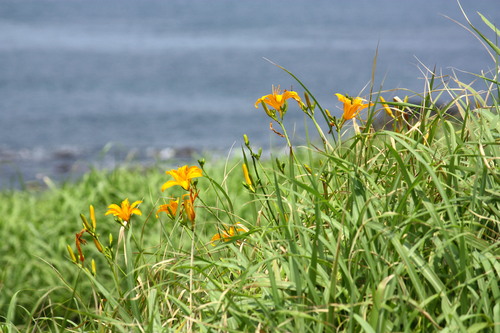 c0204385_17362411.jpg