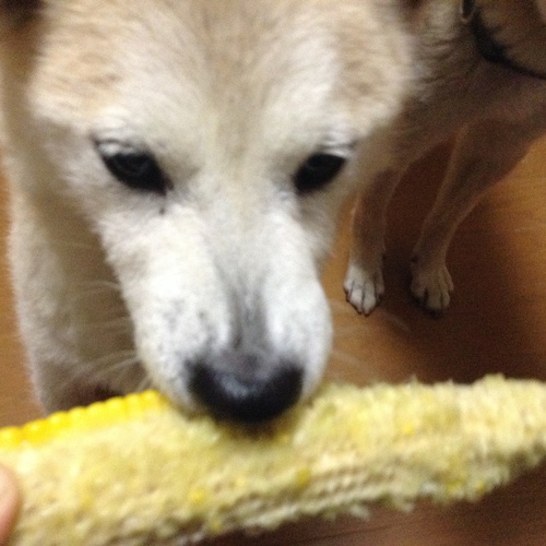 c0123890_20311319.jpg