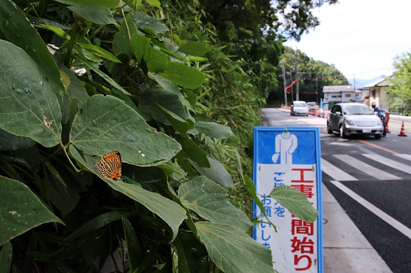 b0194593_22322840.jpg