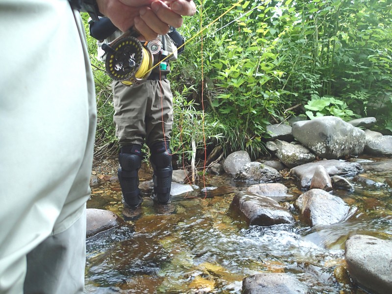 f0129994_18514126.jpg
