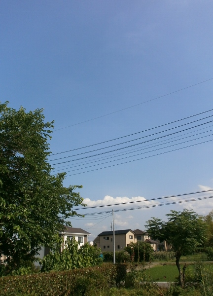 d0000995_22222542.jpg