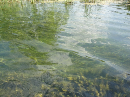 f0346196_08084356.png